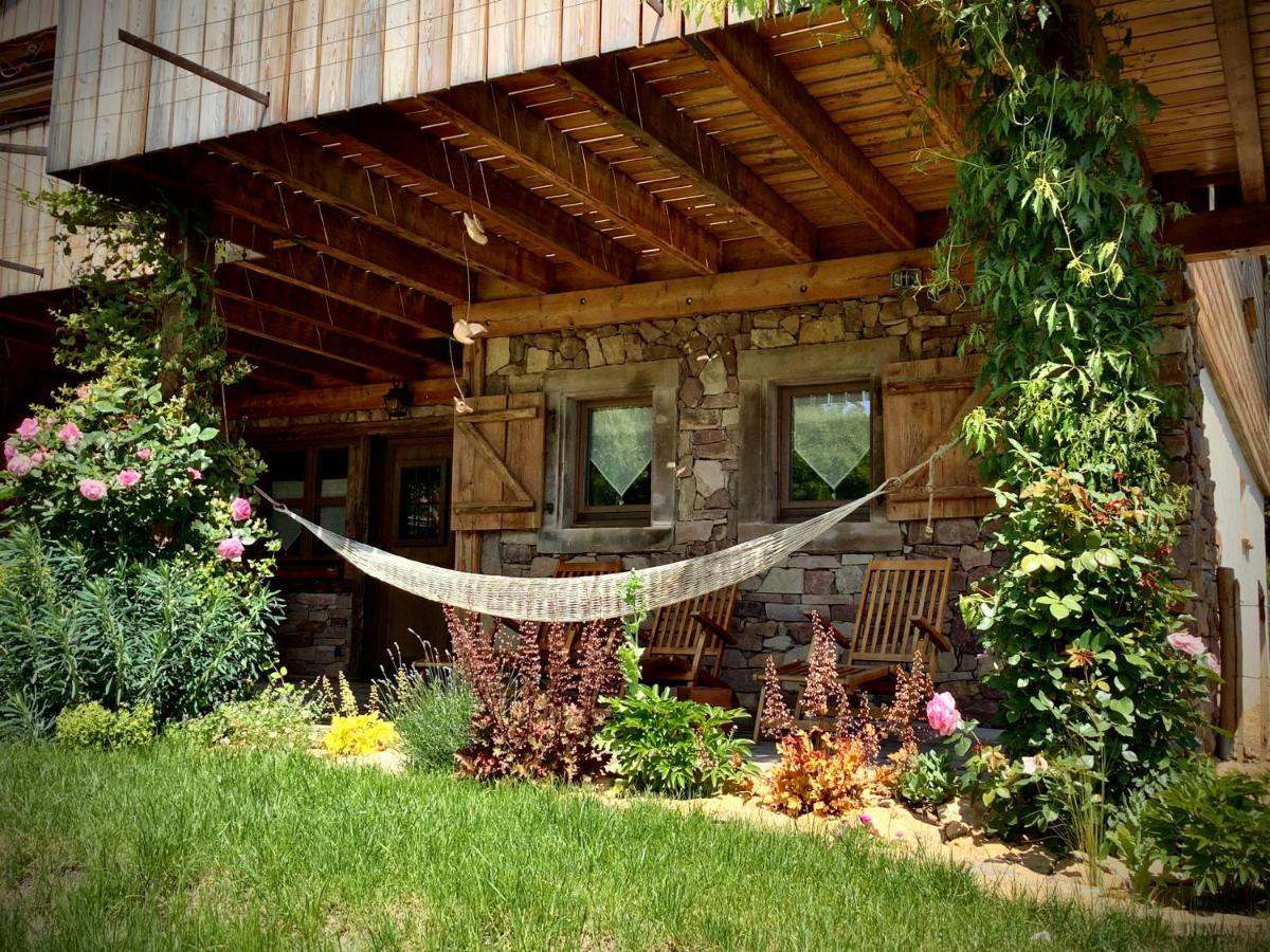 Le Chalet du Silberrain à Osenbach - Luxe, charme et authenticité Vila Exterior foto