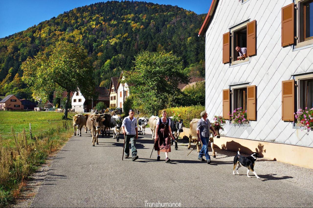 Le Chalet du Silberrain à Osenbach - Luxe, charme et authenticité Vila Exterior foto