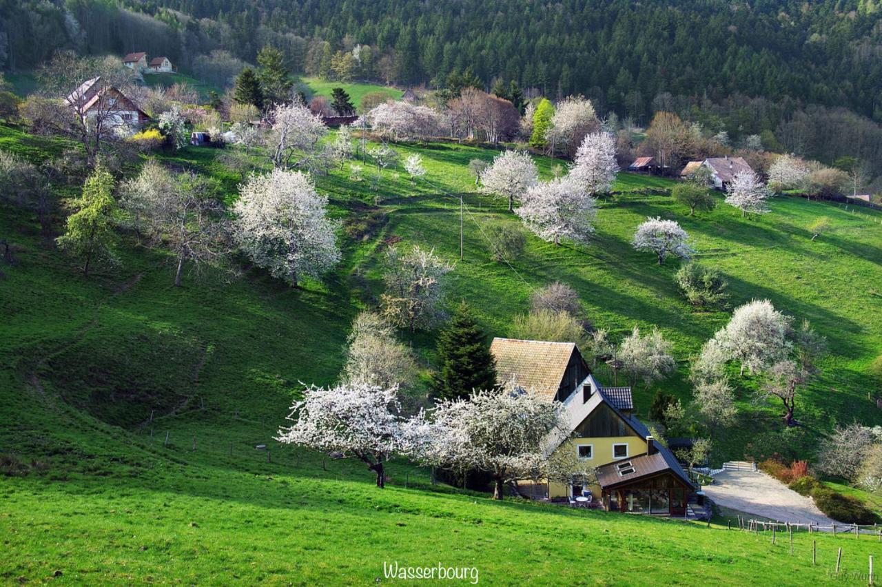 Le Chalet du Silberrain à Osenbach - Luxe, charme et authenticité Vila Exterior foto