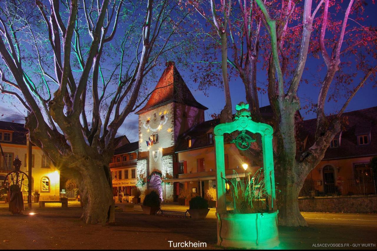 Le Chalet du Silberrain à Osenbach - Luxe, charme et authenticité Vila Exterior foto