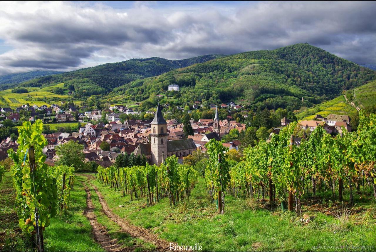 Le Chalet du Silberrain à Osenbach - Luxe, charme et authenticité Vila Exterior foto