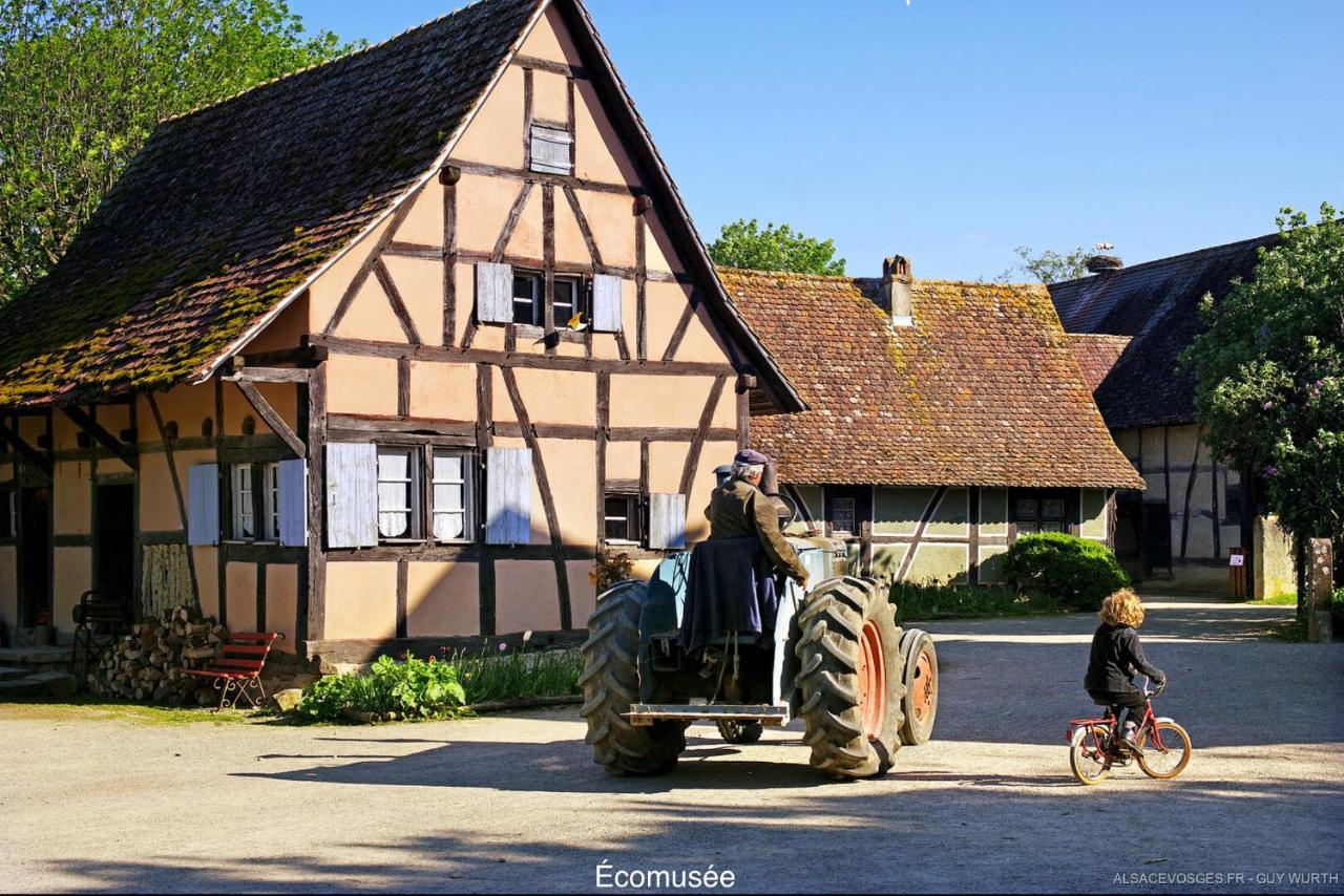 Le Chalet du Silberrain à Osenbach - Luxe, charme et authenticité Vila Exterior foto