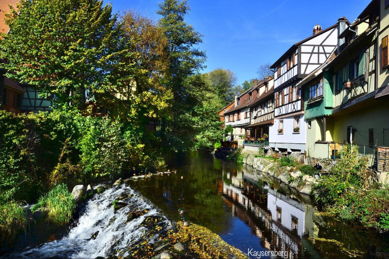 Le Chalet du Silberrain à Osenbach - Luxe, charme et authenticité Vila Exterior foto